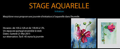 illustration de Cours d'Aquarelle  La Rochelle : Dcouvrez  les Stages d'Initiation proposs par les Artistes Osez l'Art !