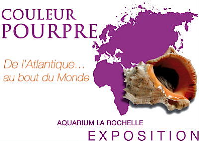 illustration de La Rochelle : Couleur Pourpre, exposition en accs libre jusqu'au 31 aot 2011