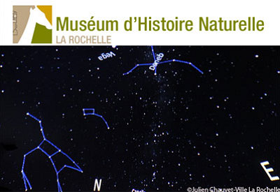 illustration de Musum d'histoire naturelle de La Rochelle : ateliers et animations, vacances de printemps 2013