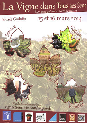 illustration de La Vigne dans tous ses sens à La Rochelle : découverte et initiation week-end 15 et 16 mars 2014