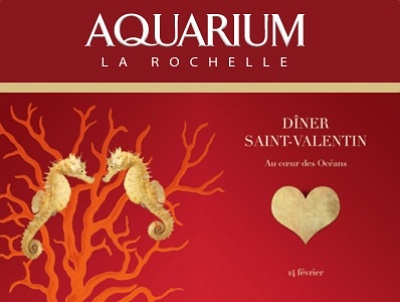 illustration de Premire  La Rochelle : la Saint-Valentin au coeur des ocans  l'Aquarium, samedi 14 fvrier