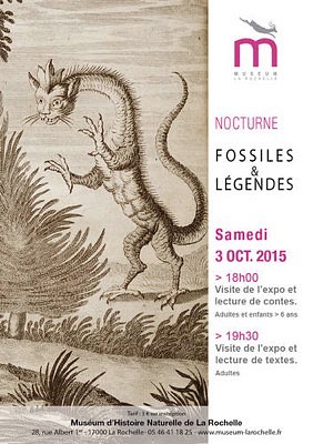 illustration de Nocturne au Musum de La Rochelle : lgendes et histoires de fossiles, samedi 3 octobre 2015