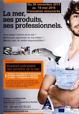 illustration de Formation rmunre  La Rochelle : employ(e) polyvalent(e) des produits de la mer fin 2015  mi-2016, un mtier  la cl !