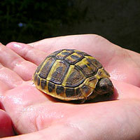 Photo  de photo : Lustil - Fotolia.com