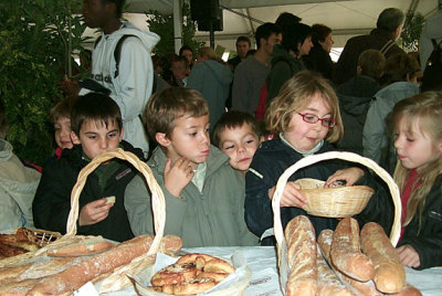Photo Les coliers aiment le pain ! de ubacto
