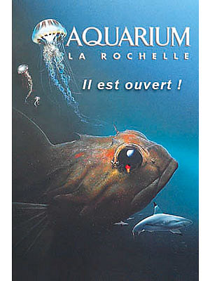 Photo : Aquarium de La Rochelle : nouveaux espaces 31 janv. 2009