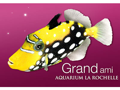 Photo : Carte Grand ami de l'Aquarium 2009