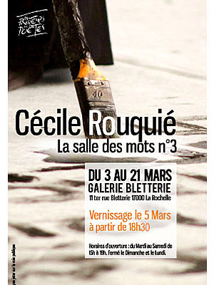 Photo : Expo - installation de Ccile Rouquier  La Rochelle du 3 au 21 mars 2009