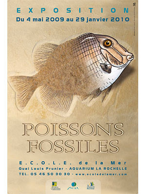 Photo : Poissons fossiles : exposition  l'Aquarium de La Rochelle jusqu'en janvier 2010