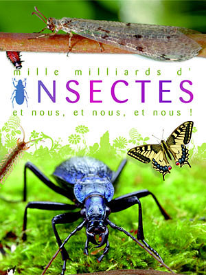Photo : Les insectes : exposition  Rochefort, janvier 2010