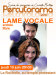 Photo : La Rochelle : Percutorama, Lame Vocale en concert jeudi 10 juin 2010 ( cliquez pour agrandir cette image )
