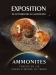Photo : Aquarium de La Rochelle : ammonites, traces de vie, chefs-d'oeuvre du temps, exposition 2012 ( cliquez pour agrandir cette image )