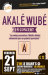 Photo : La Rochelle : Akalé Wubé en concert au Diane's - Casino Barrière, vendredi 21 septembre 2012 ( cliquez pour agrandir cette image )